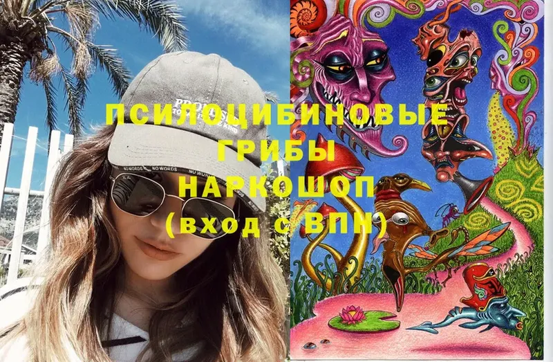 Галлюциногенные грибы Cubensis Ефремов